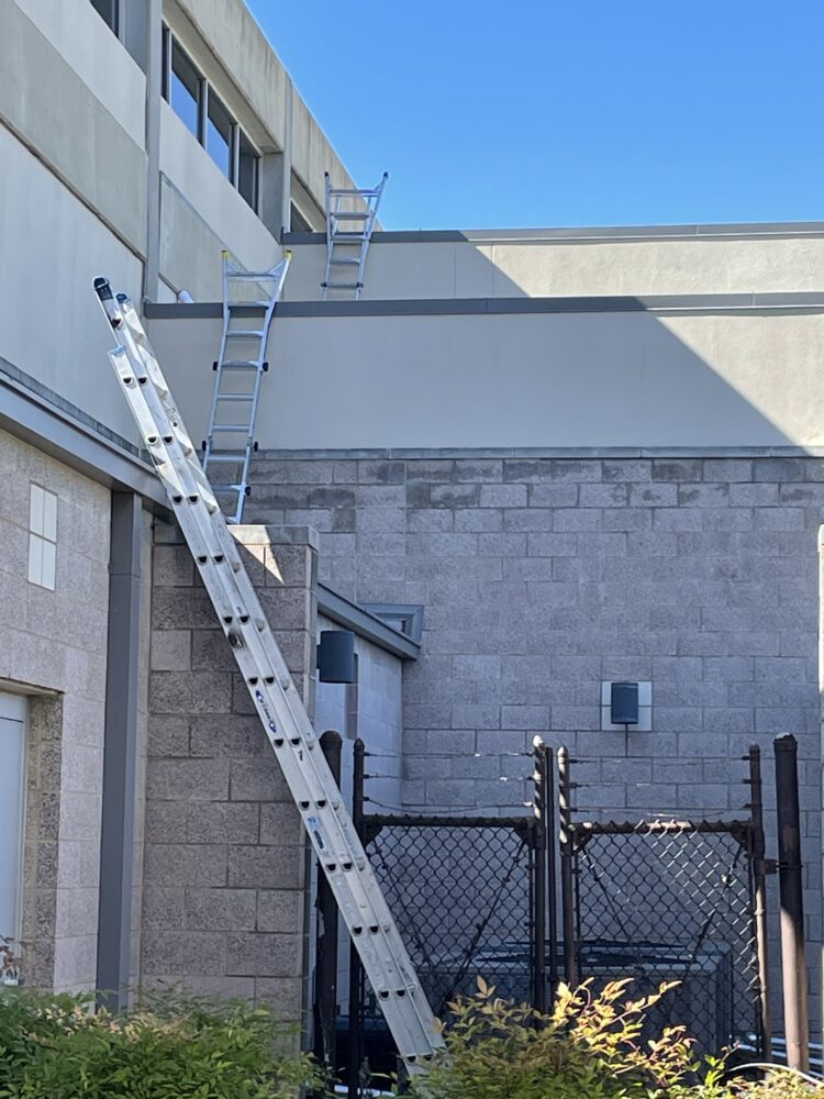 all our ladders